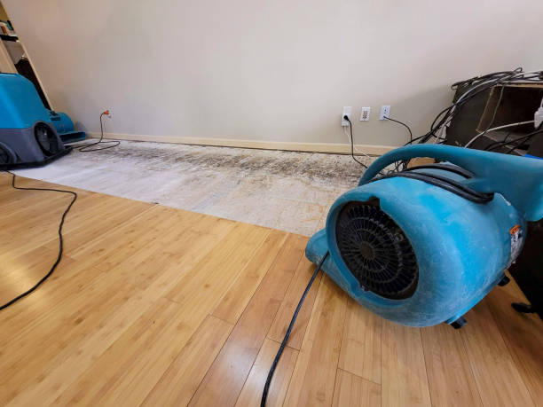 Professional Water Damage Repair technician working in Galt, CA